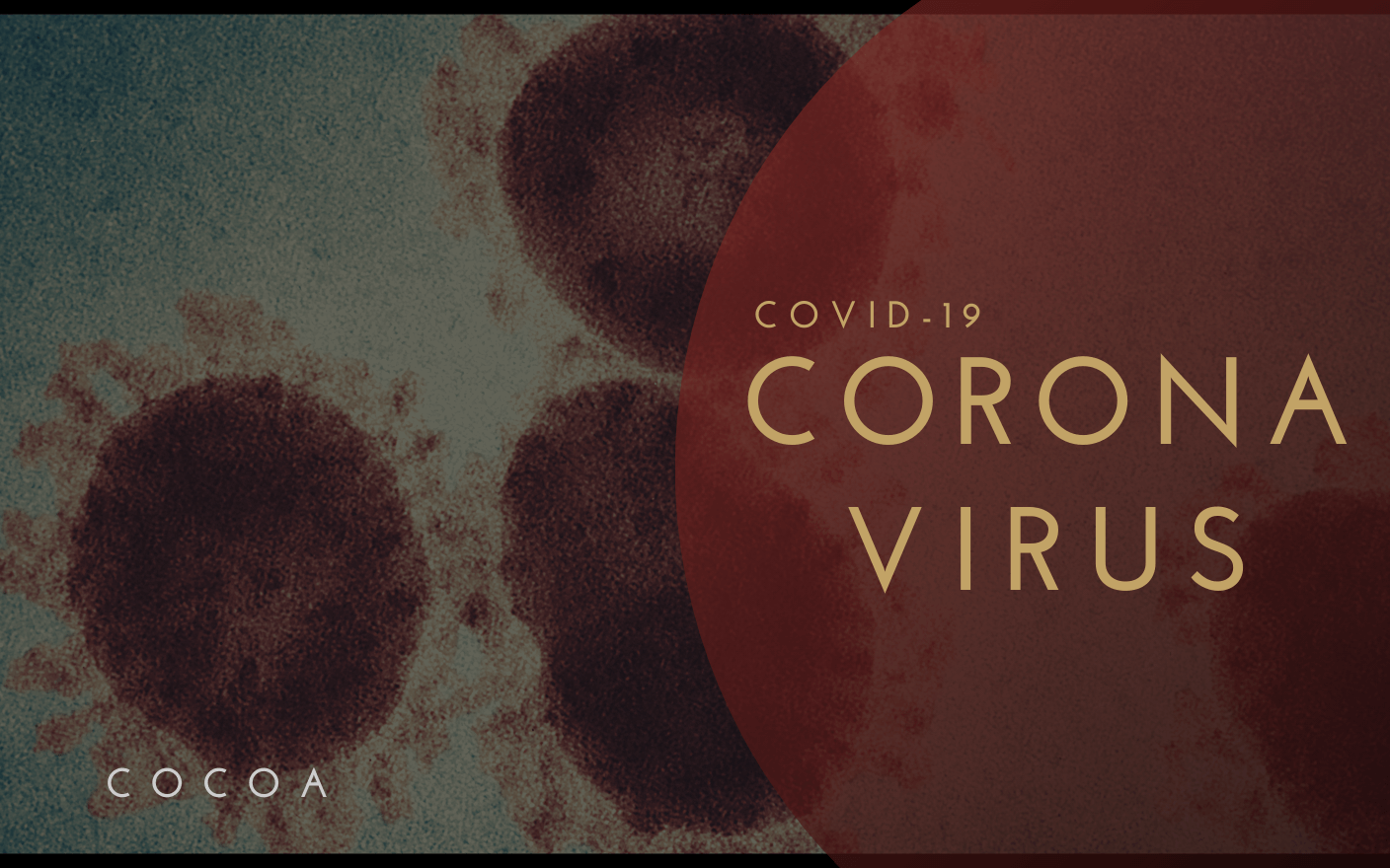 コロナウイルス・インフルエンザのアメリカ留学情報のイメージ