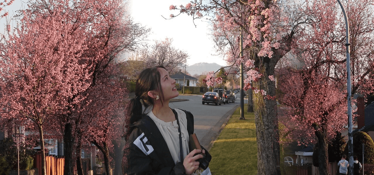 桜ときょうかちゃん