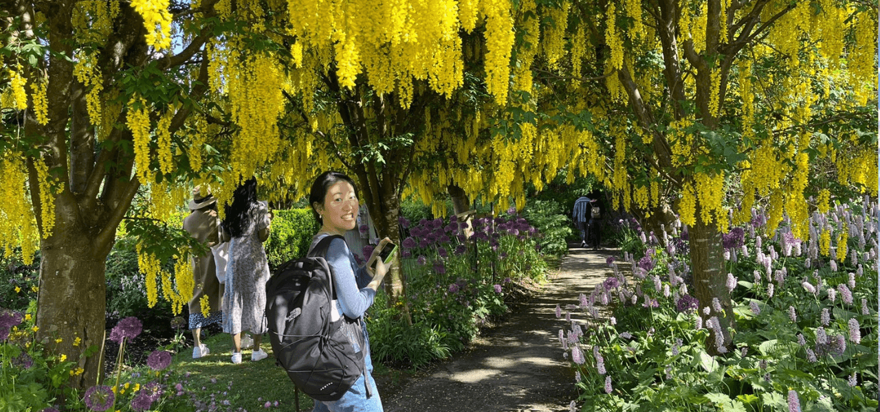 写真6－黄色い花と留学生