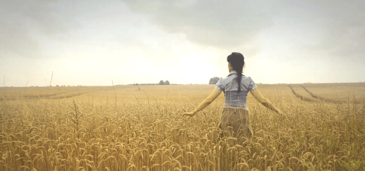 小麦畑をあるく外国の女性