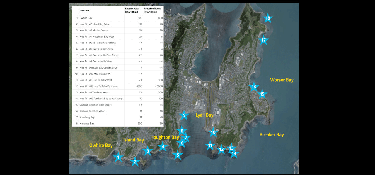 まず何が起きた？「環境災害」と言われる理由のイメージ