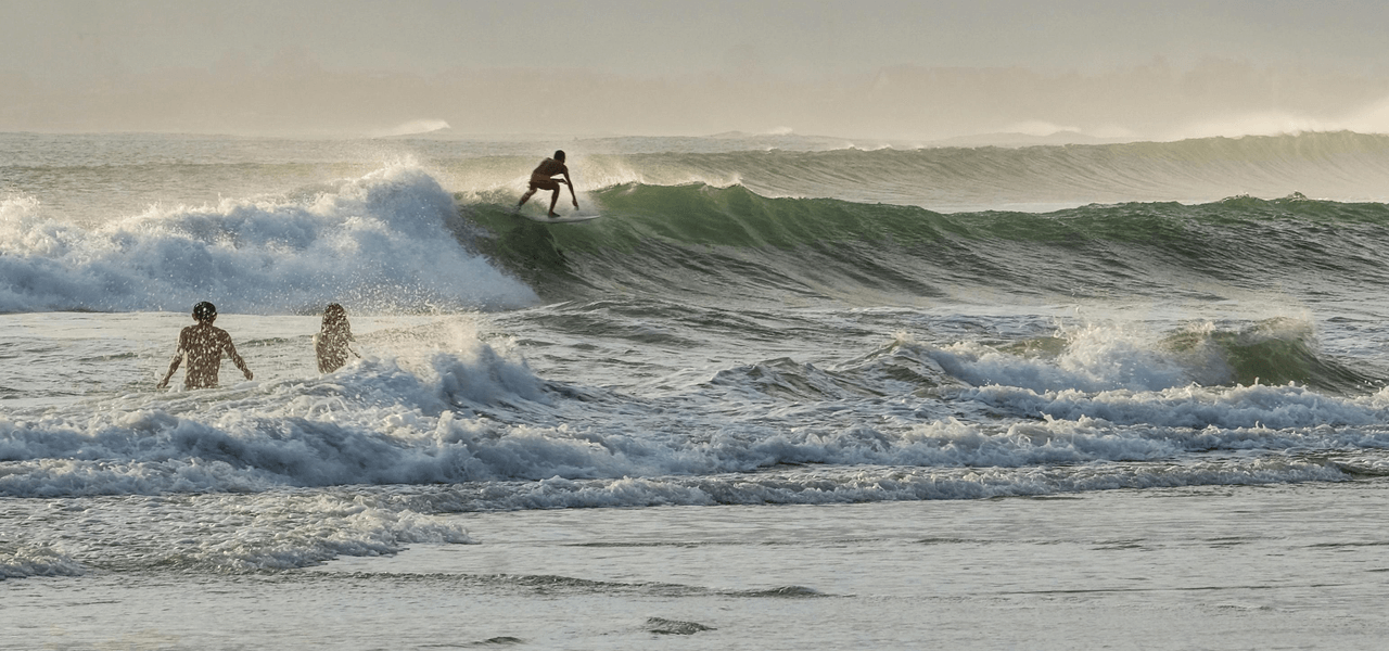 入っちゃダメ？採っちゃダメ？留学生が守るべき行動制限のイメージ