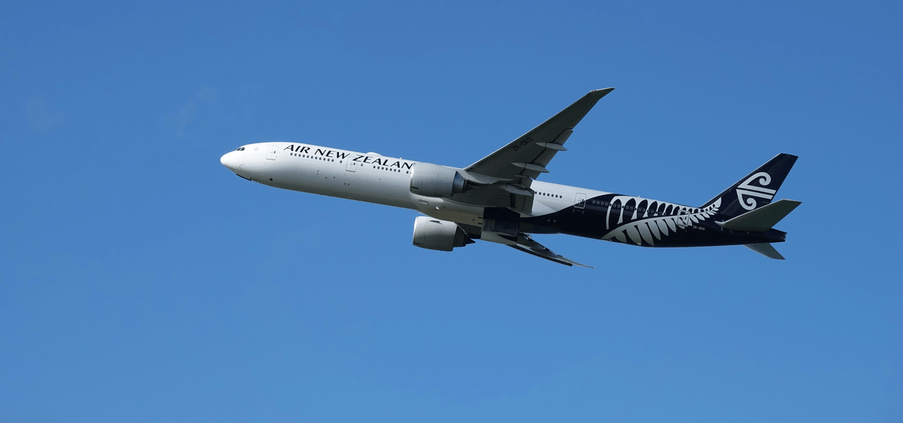 海の次は空港！？鳥の増加と「移動日の注意」のイメージ