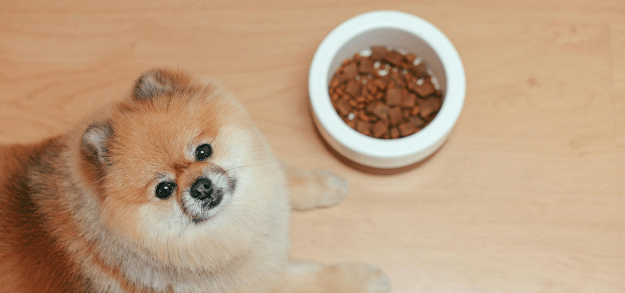 ドッグフードの指摘が分かりやすい！のイメージ