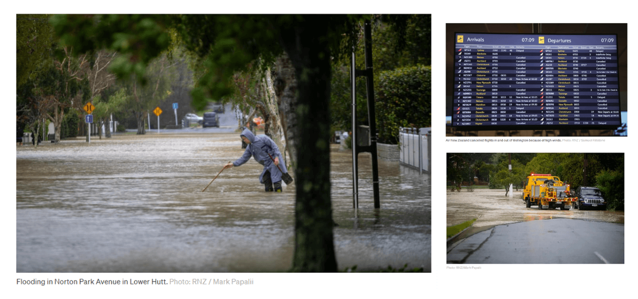 何が起きた?ウェリントン周辺で浸水と倒木が同時進行!のイメージ